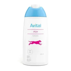 Avital Itch