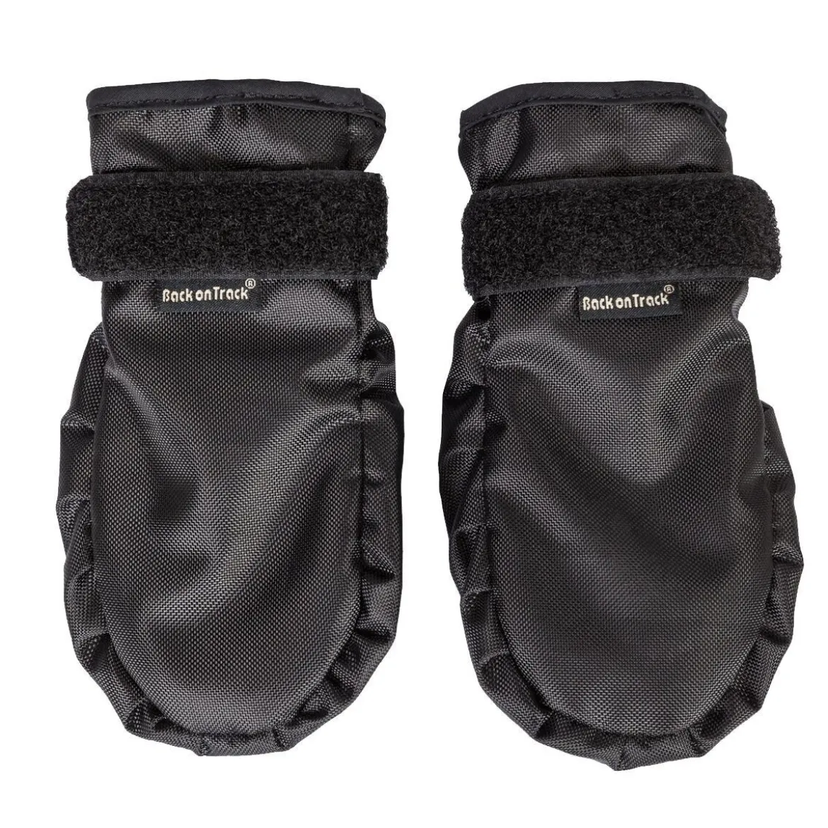 Back On Track Koda Hundskor