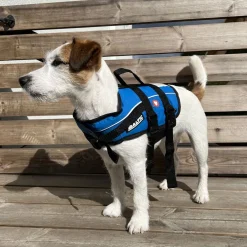 Baltic Vetzoo Hundflytväst Blå
