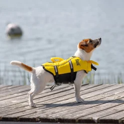 Basic Eco Hundflytväst Gul