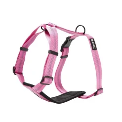 Basic First Y-sele Valp Rosa