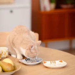 Basic Kattskål Kattansikte Beige
