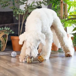 Beeztees Dog Jungle Tennisbollar Djurmönster 3-pack