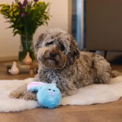 Beeztees Easter Flip Kanin Mjukisdjur till Hund Blå