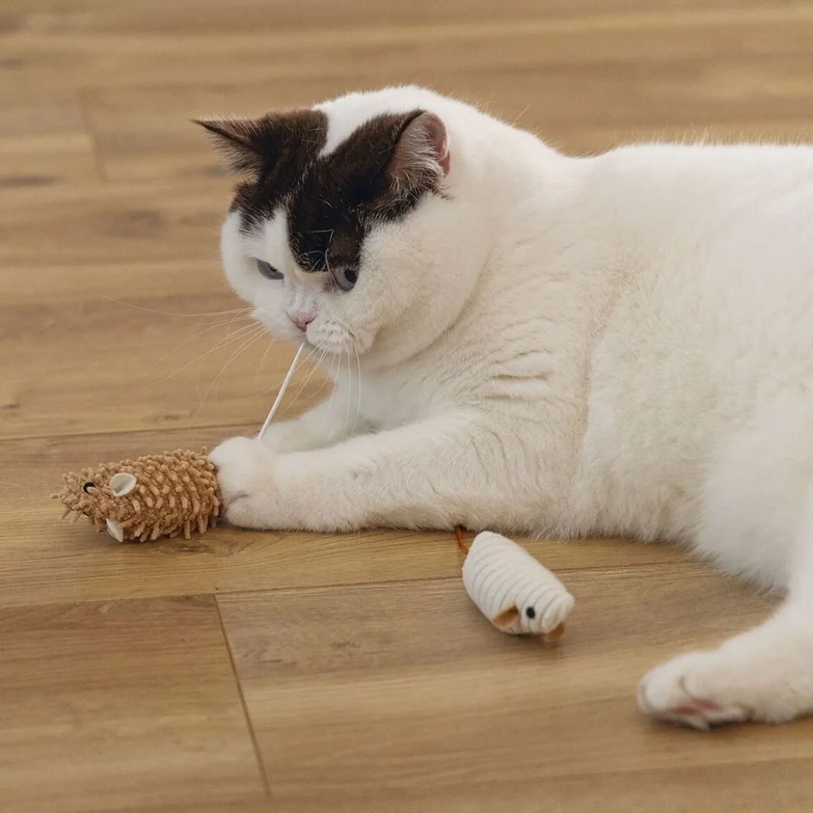 Beeztees Eco Cat Seerp Leksaksmöss 2-pack