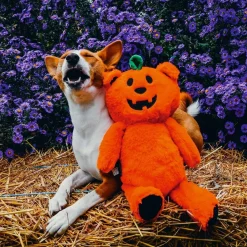 Beeztees Halloween Pumpabjörn