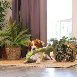 Beeztees Hide N Seek Jungle Kani Aktiveringsleksak Orm