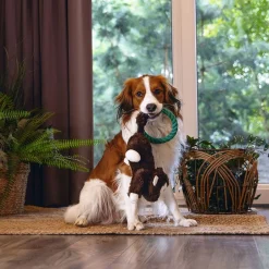 Beeztees Jungle Mats Mjukisdjur till Hund Apa