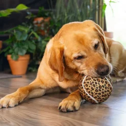 Beeztees Jungle Tennisboll Panter