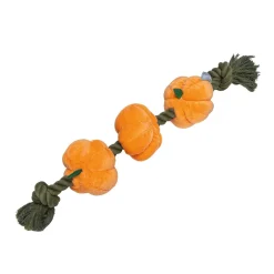 Beeztees Pumpor på Rep Hundleksak 40 cm