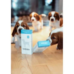 Bellylabs Dräktighetstest för Hund