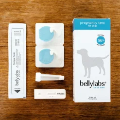 Bellylabs Dräktighetstest för Hund