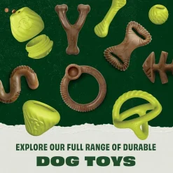 Benebone Bounce Bone Tuggleksak i Gummi