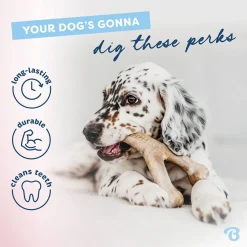 Benebone Gummiben & Wishbone Tuggleksaker till Valp 2-pack