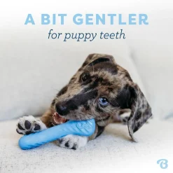 Benebone Gummiben & Wishbone Tuggleksaker till Valp 2-pack