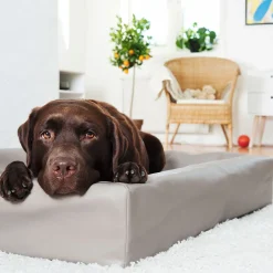 Bia Bed Original Hundbädd Mullvad
