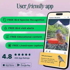 Birdbuddy Fågelmatare med Kamera Blå