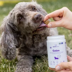 Buddy Care Calm 150 g
