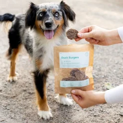 Buddy Petfoods Ankburgare 100 g