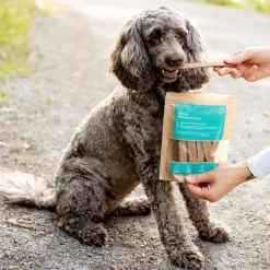 Buddy Petfoods Dentaltugg Anka 100 g