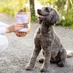 Buddy Petfoods Dental Tuggpinnar Hjort 100 g