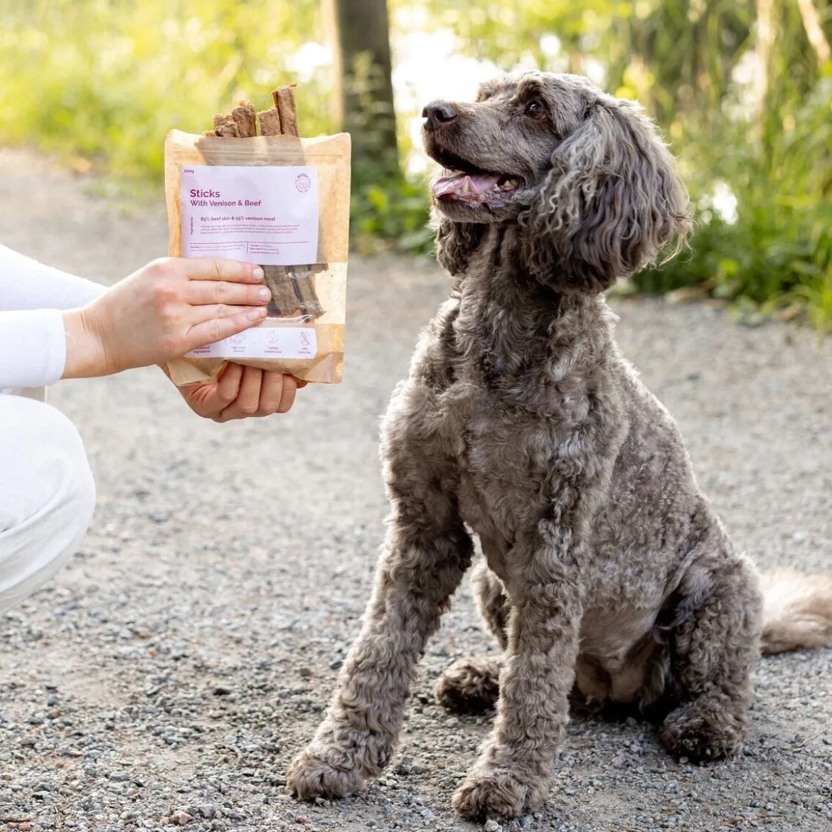 Buddy Petfoods Dental Tuggpinnar Hjort 100 g