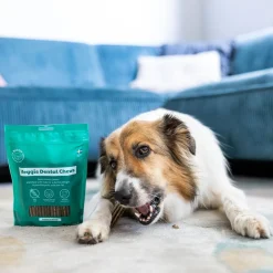 Buddy Vegetariskt Dentaltugg M