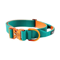 BullyBillows Combat Hundhalsband med Handtag Turkos & Orange 4 cm