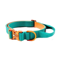BullyBillows Combat Hundhalsband Turkos och Orange XS 2,5 cm