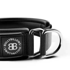 BullyBillows Hundhalsband Halvstryp Reflekterande Svart 5 cm