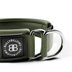 BullyBillows Hundhalsband Halvstryp Reflekterande Grön 5 cm