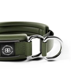 BullyBillows Hundhalsband Halvstryp Reflekterande Grön 3 cm