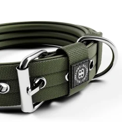 BullyBillows Hundhalsband med Spänne 4 cm Grön