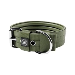 BullyBillows Hundhalsband med Spänne Grön 5 cm