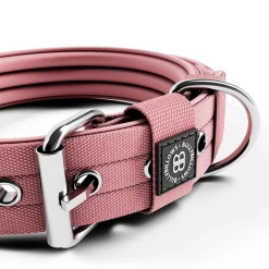 BullyBillows Hundhalsband med Spänne Rosa 4 cm