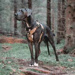 Cerberos Active Hundsele Beige