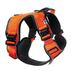 Cerberos Active Rescue Hundsele Orange