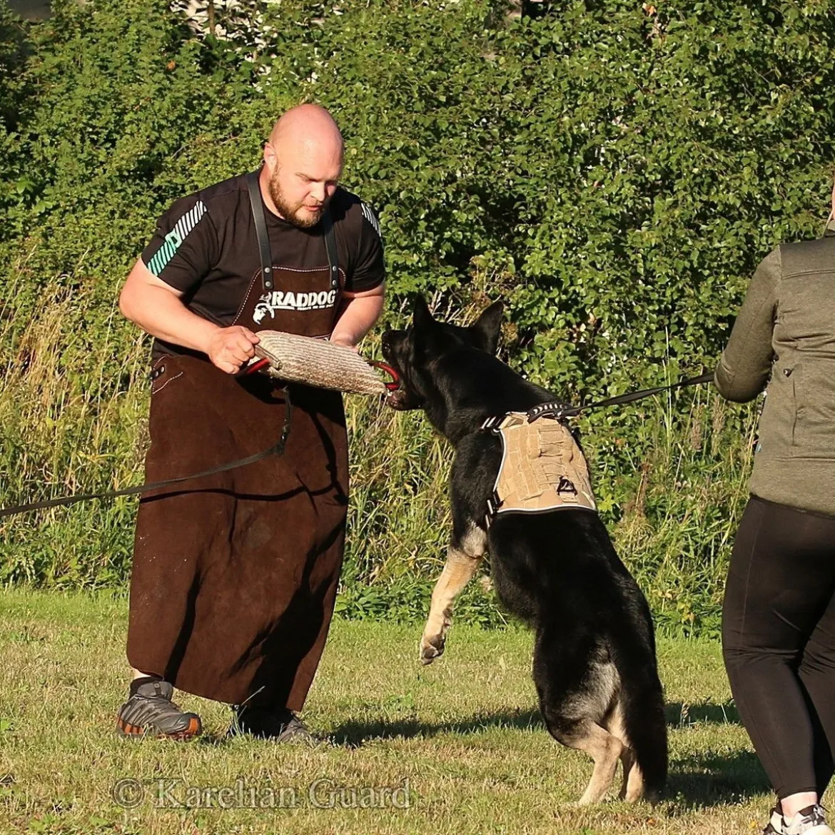 Cerberos Tactical Hundsele Beige