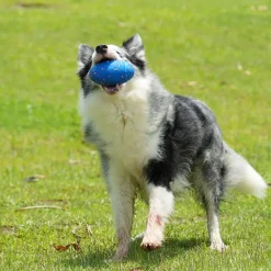 Cheerble Wicked Rugby Interaktiv Hundboll Blå