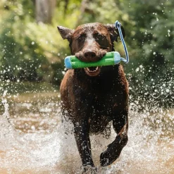Chuckit Amphibious Bumper Flytande Dummy