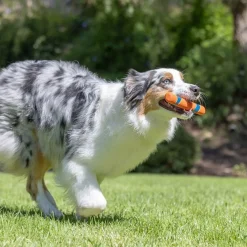 Chuckit Ultra Fetch Stick Hundleksak