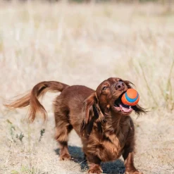 Chuckit Ultra Flytande Hundbollar 2-pack