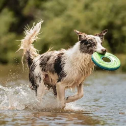 Chuckit Zipflight Frisbee