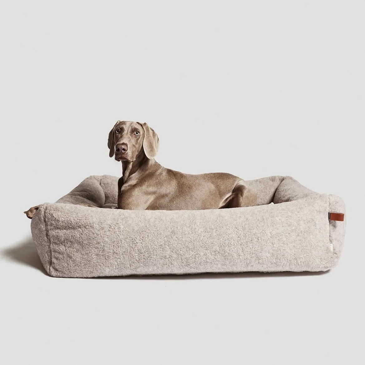 Cloud7 Hundbädd Sleepy de Luxe Teddy