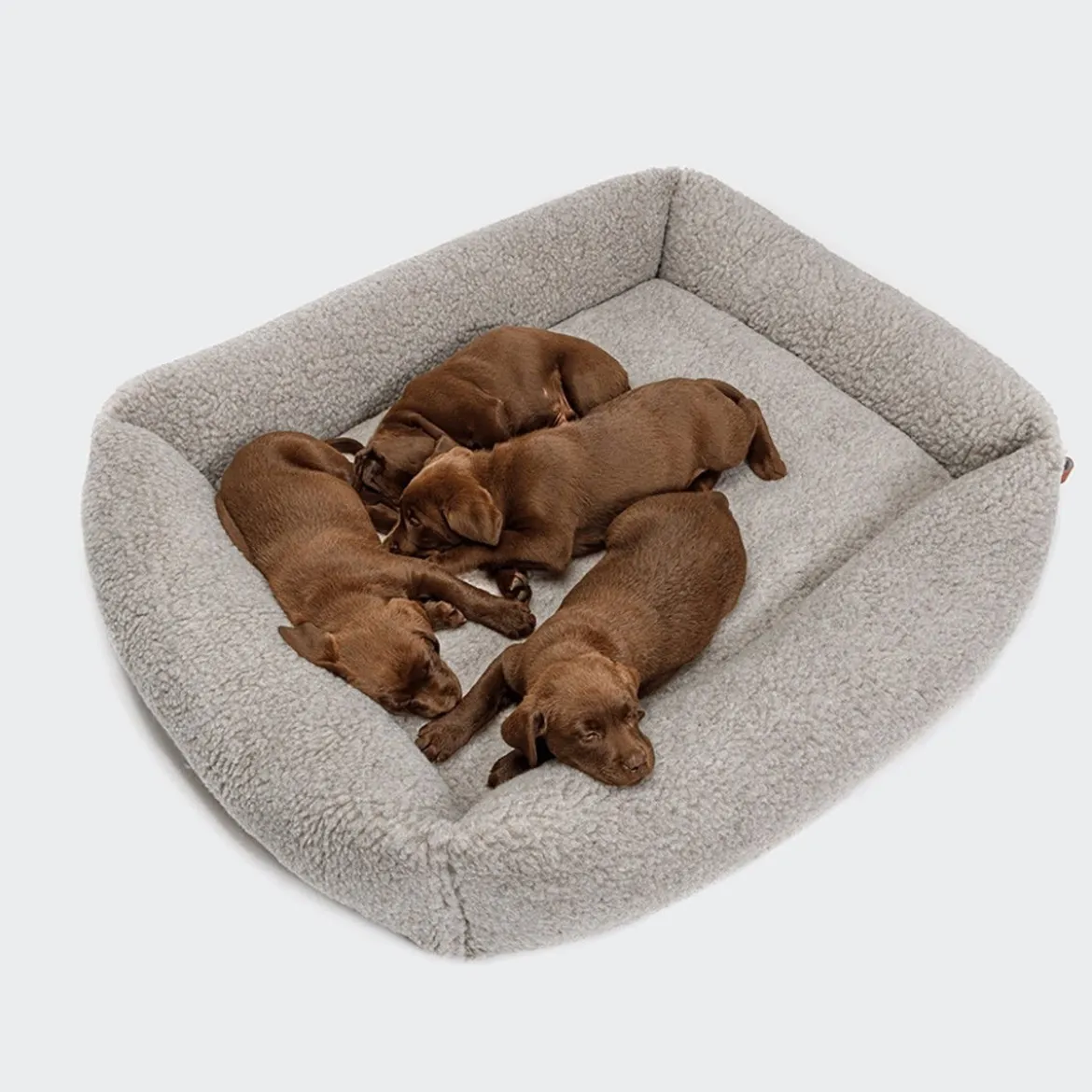 Cloud7 Hundbädd Sleepy de Luxe Teddy