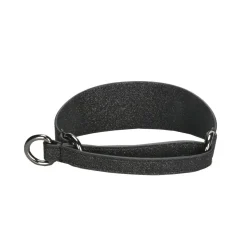 Collar of Sweden Brett Halsband Halvstryp Glitter