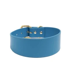 Collar of Sweden Brett Halsband Neonblå