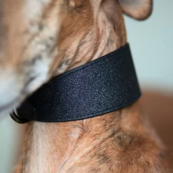 Collar of Sweden Brett Hundhalsband Glitter Svart