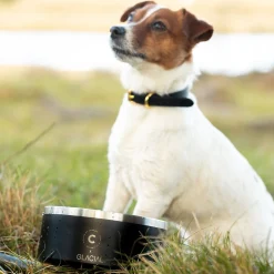 Collar of Sweden Hundskål 900 ml