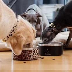 Collar of Sweden Hundskål 900 ml